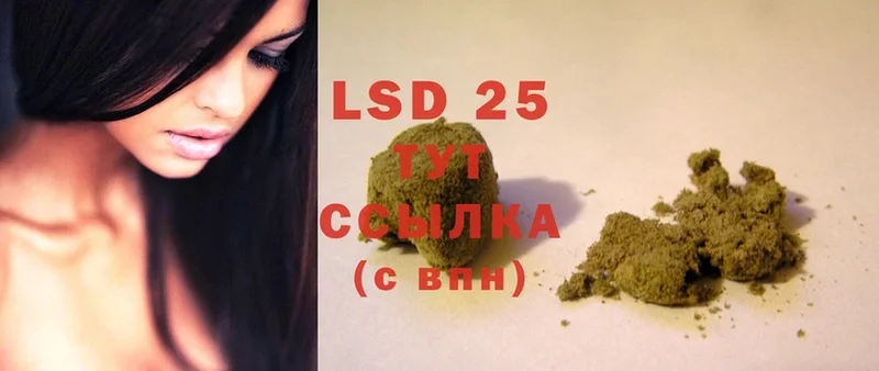 LSD-25 экстази кислота  продажа наркотиков  Киреевск 